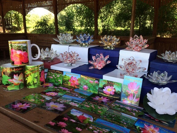 Сувениирная лавка с атрибутикой лотосов